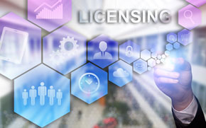 A software licence agreement